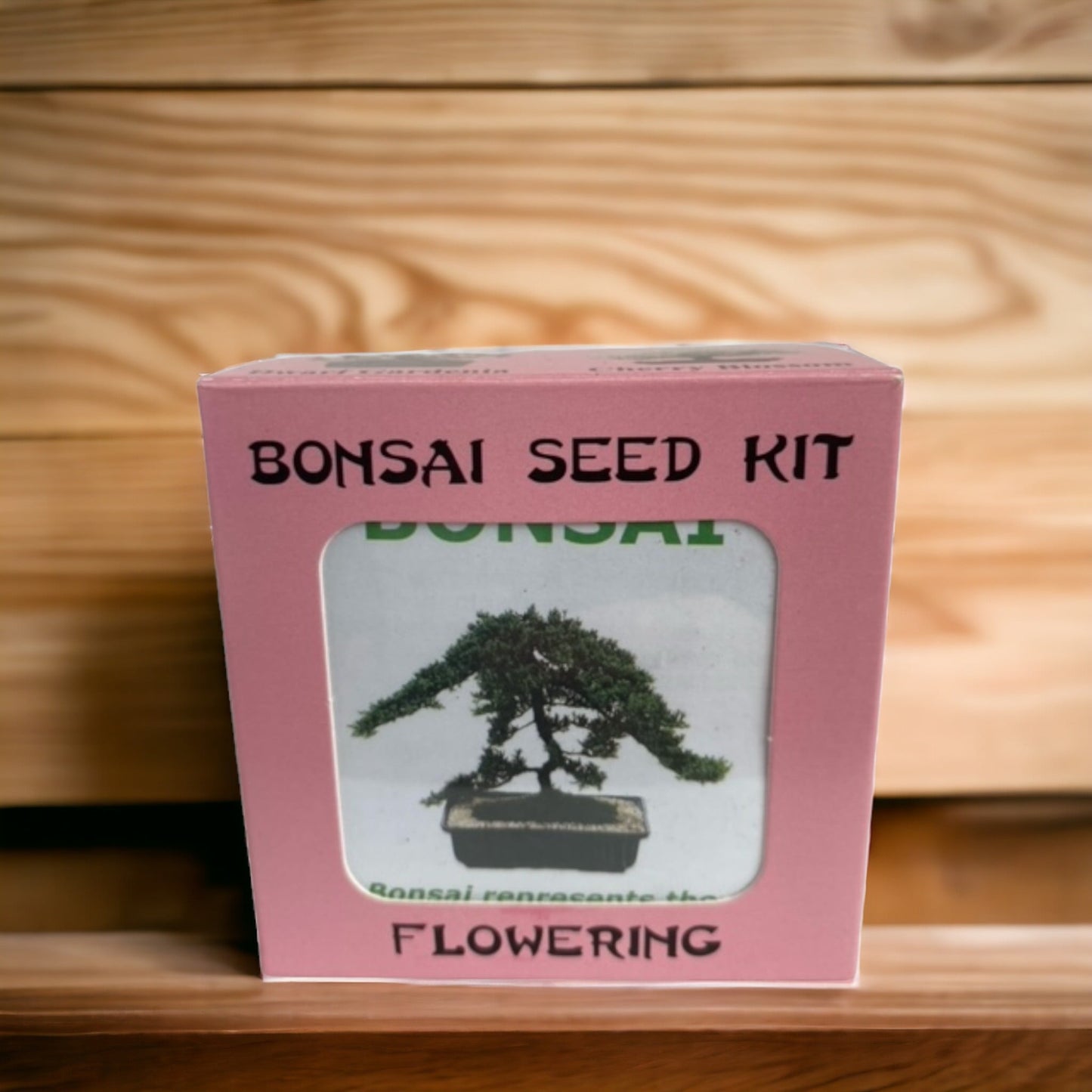 Bonsai Tree Seed Kit - Cherry Blossom