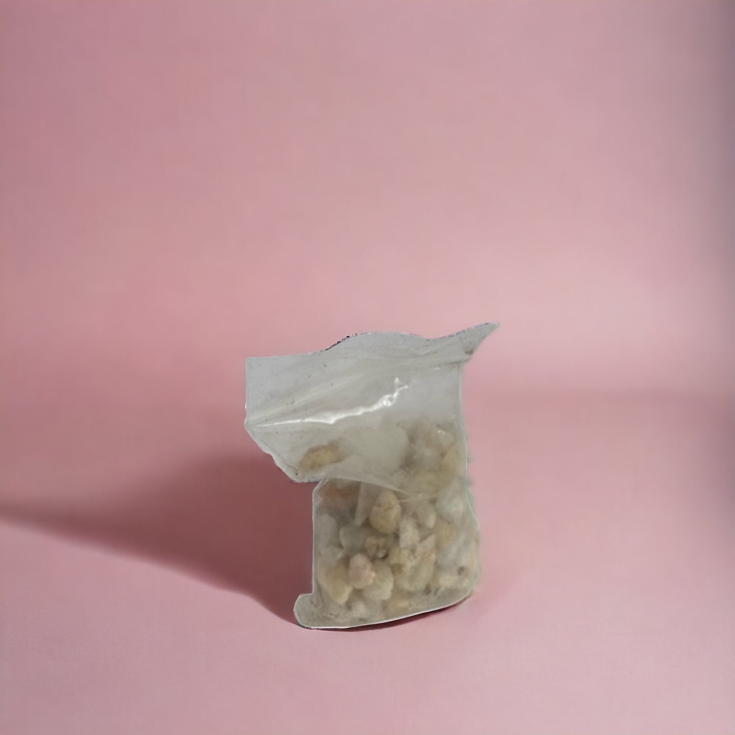 Bonsai Tree Seed Kit - Cherry Blossom