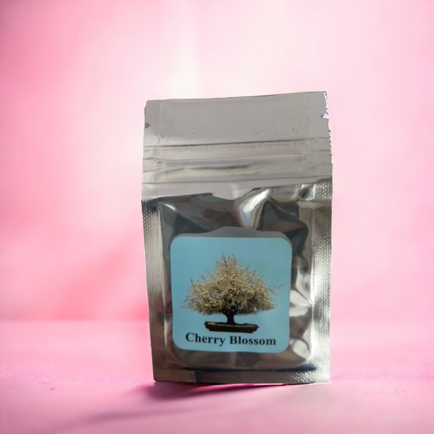 Bonsai Tree Seed Kit - Cherry Blossom