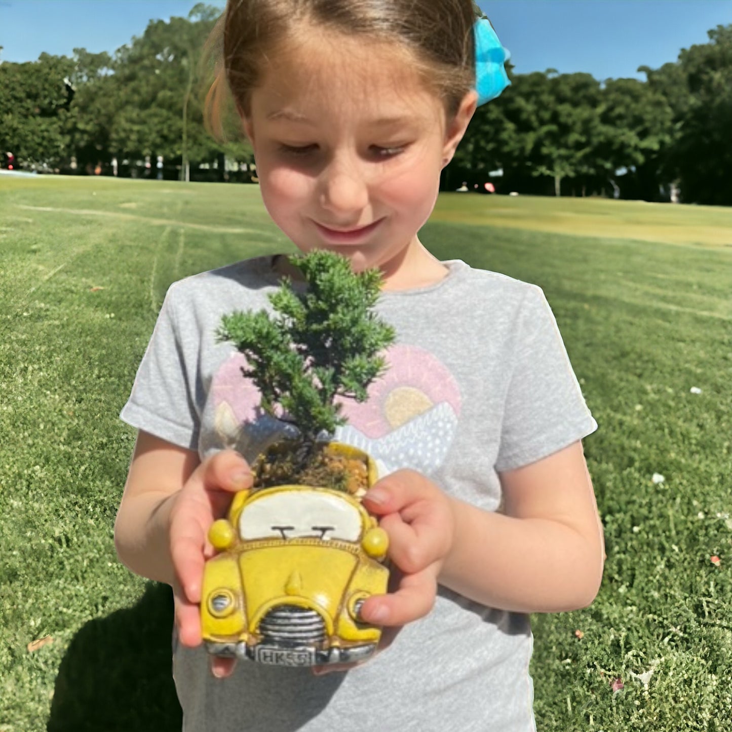 Children's Buggy Juniper Bonsai Tree