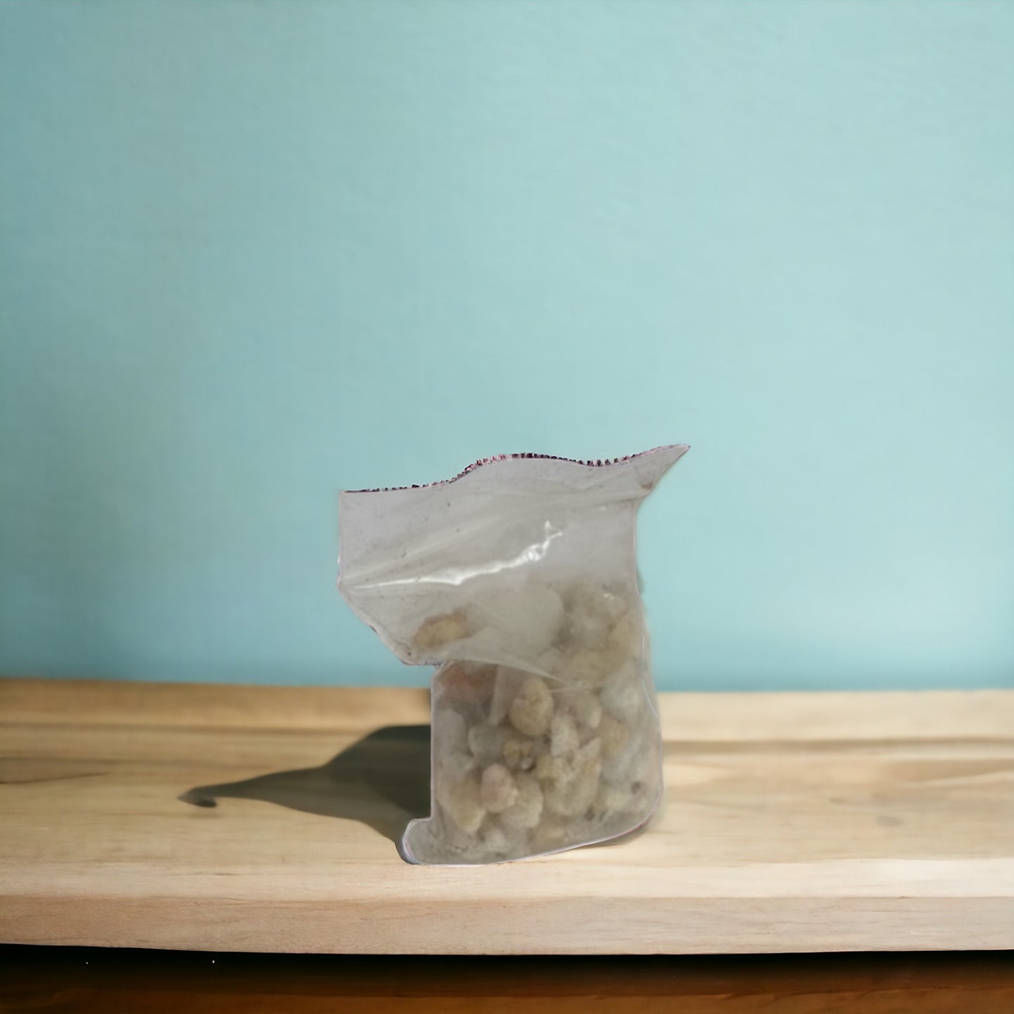 Bonsai Tree Seed Kit - Red Maple Bonsai Tree