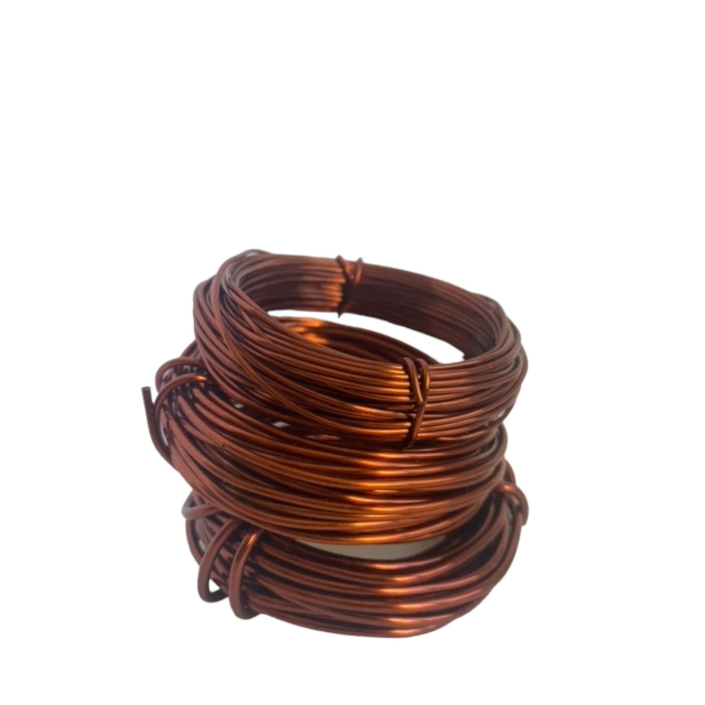 Bonsai Starter Kit - Chinese Elm