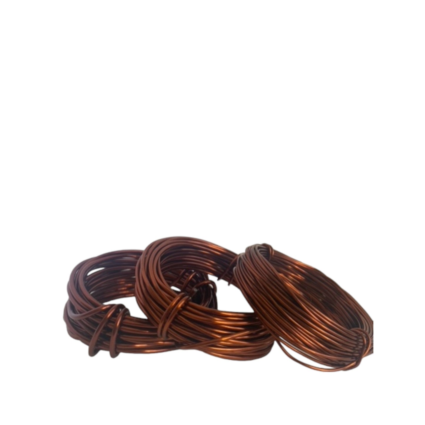 Bonsai Starter Kit - Surinam Cherry